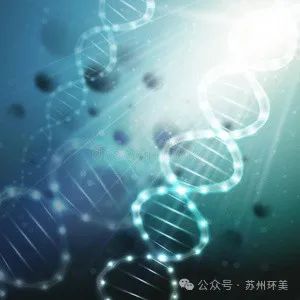 &#76;&#69;&#84;&#79;&#85;&#46;&#67;&#79;&#77;&#45;&#20048;&#25237;&#65288;&#20013;&#22269;&#65289;